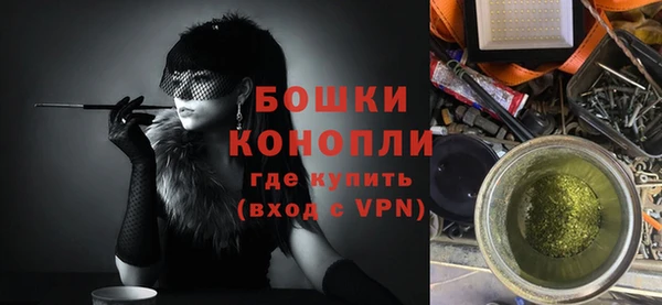 индика Иннополис