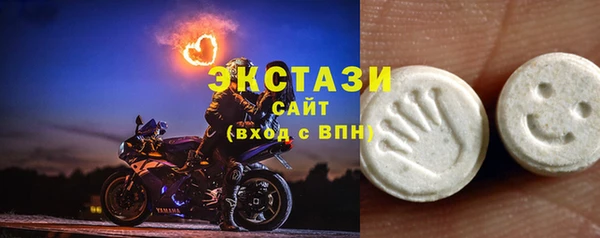 мдпв Инсар