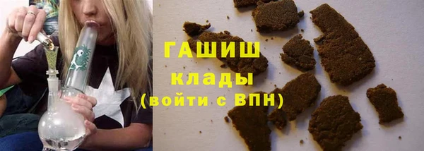 индика Иннополис