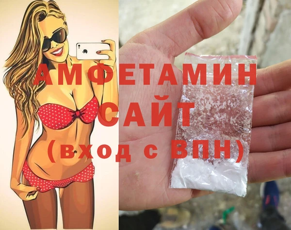 мдпв Инсар
