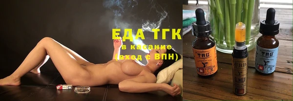 СК Инта