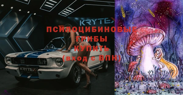 прущая мука Каменногорск