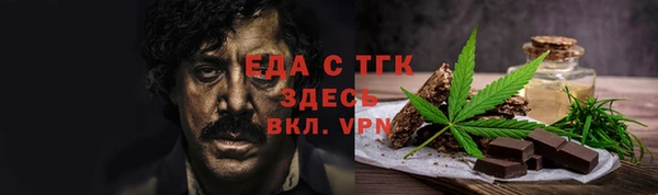 мдпв Инсар