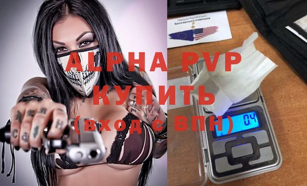 индика Иннополис