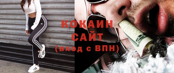 мдпв Инсар