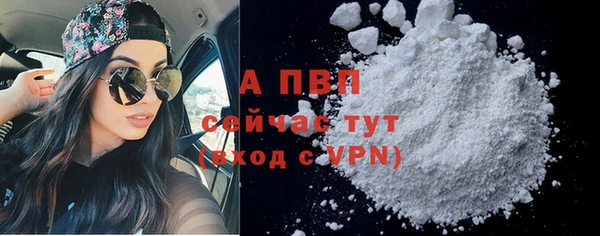 индика Иннополис