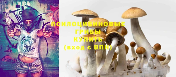 дмт Каменск-Шахтинский