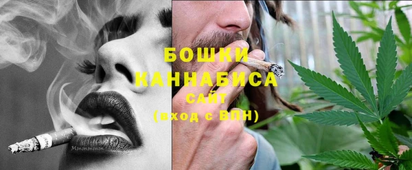 индика Иннополис