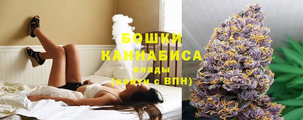 индика Иннополис