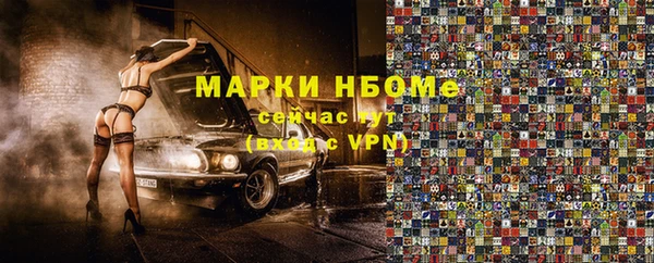 индика Иннополис