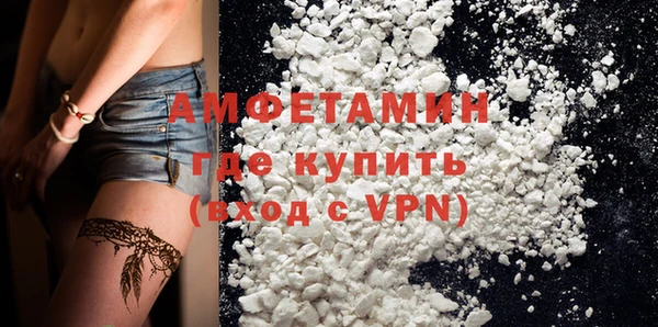 мдпв Инсар